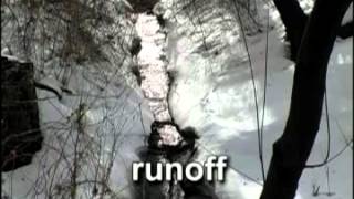 The Water Cycle  Evaporation  Condensation  Precipitation  and Runoff