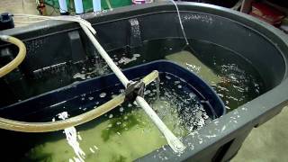 Crab Lab