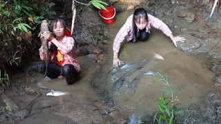 Fishing video: Poor girl finding and harvesting wild fish by hand - Go to the village to sell