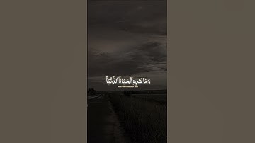 قران كريم #اكسبلور #المصحف #دويتو #القزابري #تيك_توك #الرحمن #لايك #الطحان #راحة_نفسية #yasseraldoss