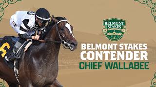 2026 Belmont Stakes Spotlight - CHIEF WALLABEE