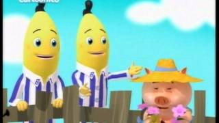 BANANAS EN PIJAMA ( Cartoonito ) - Las flores