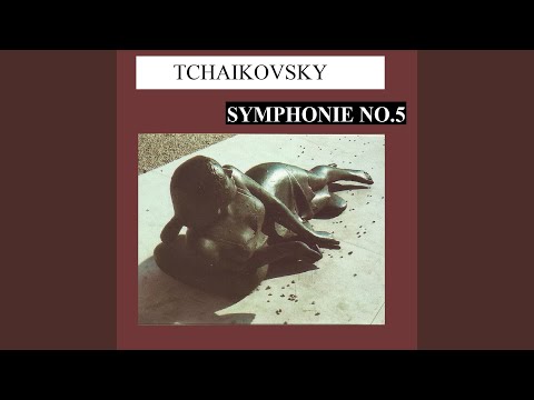 Mira Symphony No. 5 in E Minor, Op. 64: IV. Finale. Andante maestoso - Allegro vivace en YouTube