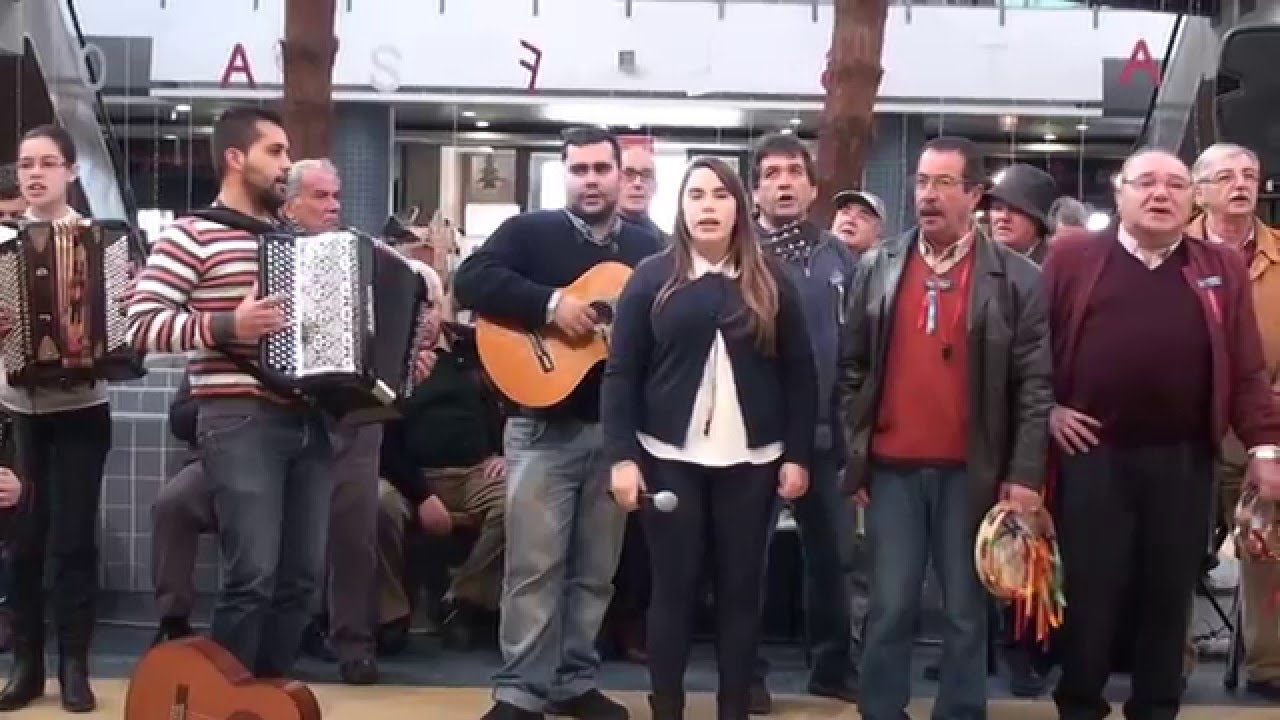 CHAROLA DA CONCEÇÃO DE FARO. 2015