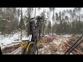 ОПЕРАТОР🌲ФЕВРАЛЬСКАЯ ВАХТА 5 СЕРИЯ🌲НОЧНОЙ ПЕРЕЕЗД🌲СЛОЖНАЯ ДОРОГА🌲ОТЛИЧНАЯ ДЕЛЯНКА🌲РЕМОНТ🌲JOHN DEERE🌲