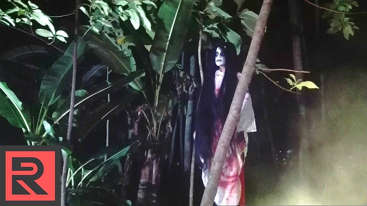 Video 11 Jenis Pokok Yang Dipercayai Berhantu Redzuanyusof