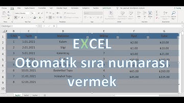 Excel OTOMATİK SATIR NUMARASI
