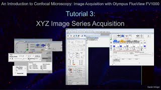 Tutorial 3: XYZ Image Series Acquisition