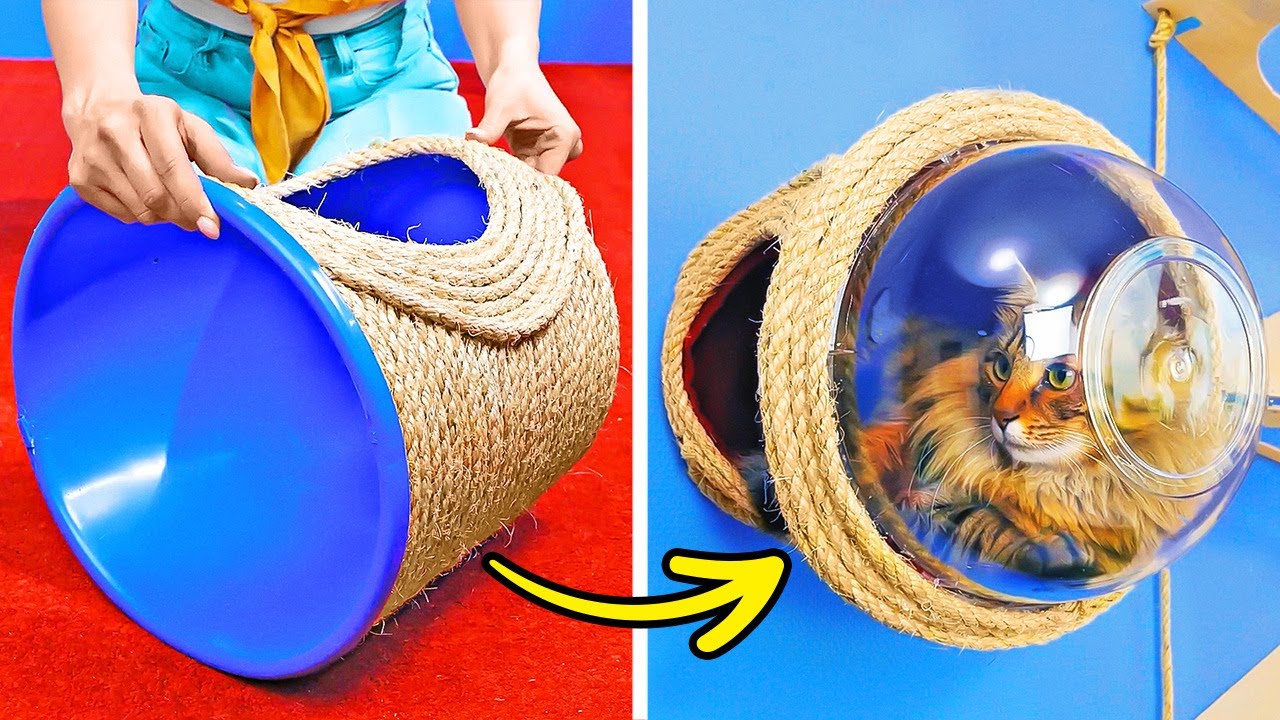 DIY Amazing Cat House || Cute Pet Hacks, Gadgets And DIY Crafts For The Loved Ones