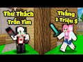 REDHOOD VÀ MỀU THỬ THÁCH TRỐN TÌM 1 TRIỆU ĐÔ TRONG MINECRAFT*REDHOOD THỬ THÁCH 24 GI