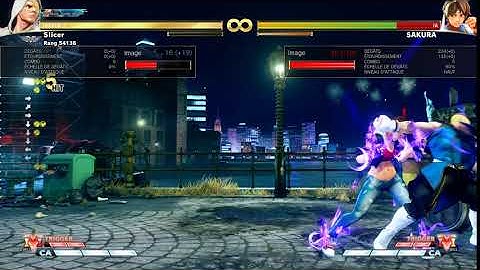 Ed - My attempt at a maximum damage combo with stun and one Ex (513 with CH, 489 without)