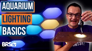 Saltwater Aquarium Lighting Doesn’t Have to Be Overwhelming!  Ep: 26