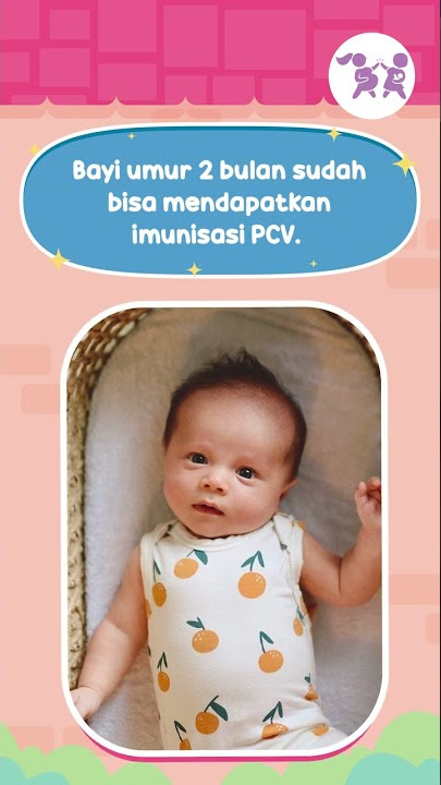 VAKSIN PVC SEKARANG GRATIS