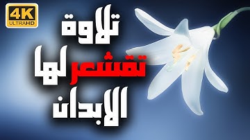 Surah Al Ankabut تلاوة تقشعر لها الابدان من سورة العنكبوت