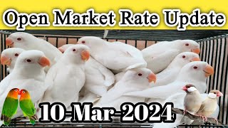 Open Market Rate Today l Lalukhet Birds Market 10 Mar 24 l V No 258 Sur Birds Channel