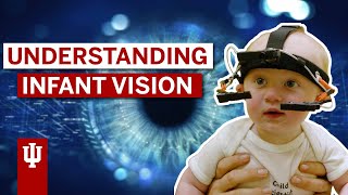 Unlocking the secrets to human vision