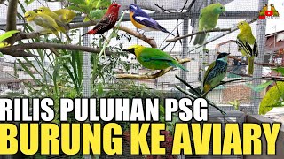 RILIS PULUHAN PASANG BURUNG DI AVIARY