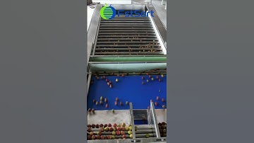 Lychee Sorting Machine,Kumquat Sorter,Cherry Tomato Grading Equipment, Fruit Grader in Australia
