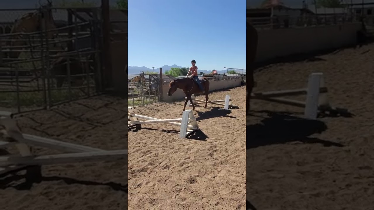 Emily practicing balance bridleless.