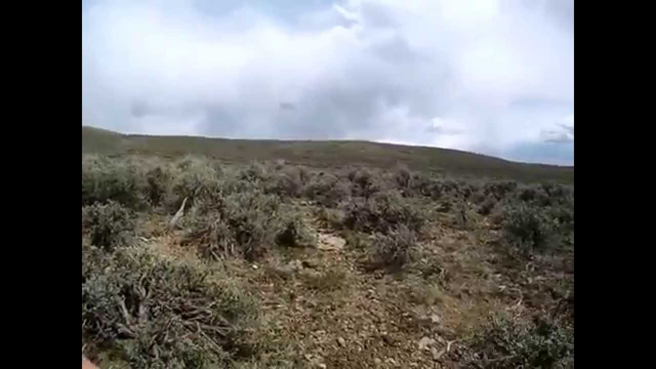 Colorado Shed Hunting ( Deer Sheds 5 ) YouTube