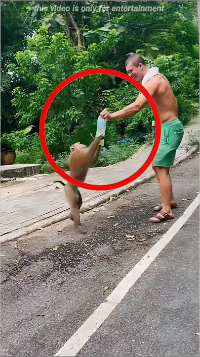 Smartest Monkey EVER Steals Juice & OPENS IT HIMSELF! 😲 #shorts