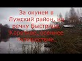 Видеоотчет о рыбалке на реке Быстрица, Лужский р-он, Ленобласть.