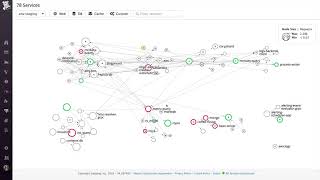 Celebrity Python Performance Monitoring & Analytics Profile