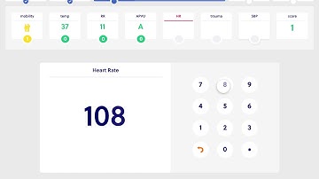 Triage - Walk through