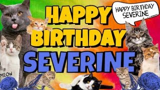 Severine What Is Free On My Birthday Severine What Is Free On My Birthday