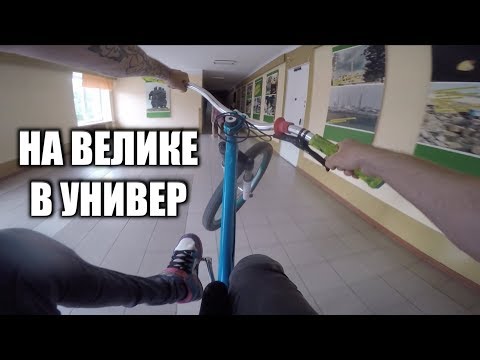 ВЫГНАЛИ С УНИВЕРА