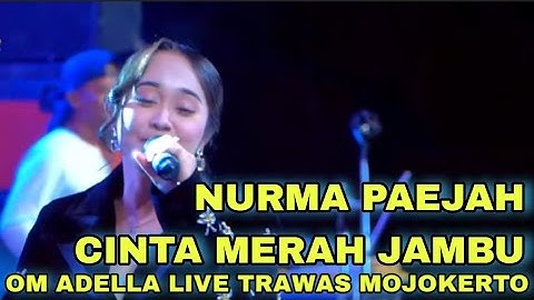 CINTA MERAH JAMBU - NURMA PAEJAH OM ADELLA LIVE TRAWAS MOJOKERTO JAWA TIMUR INDONESIA