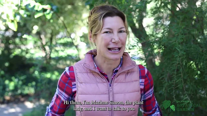 Sacramento Botanical Garden - Marlene Simon,