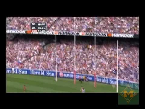 Hawthorn vs Geelong (Round 2, 2010) SBS Report