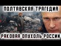 Россиян продолжат травить ядовитым рисом и врать, что он безопасен для здоровья? Реки фильтрата