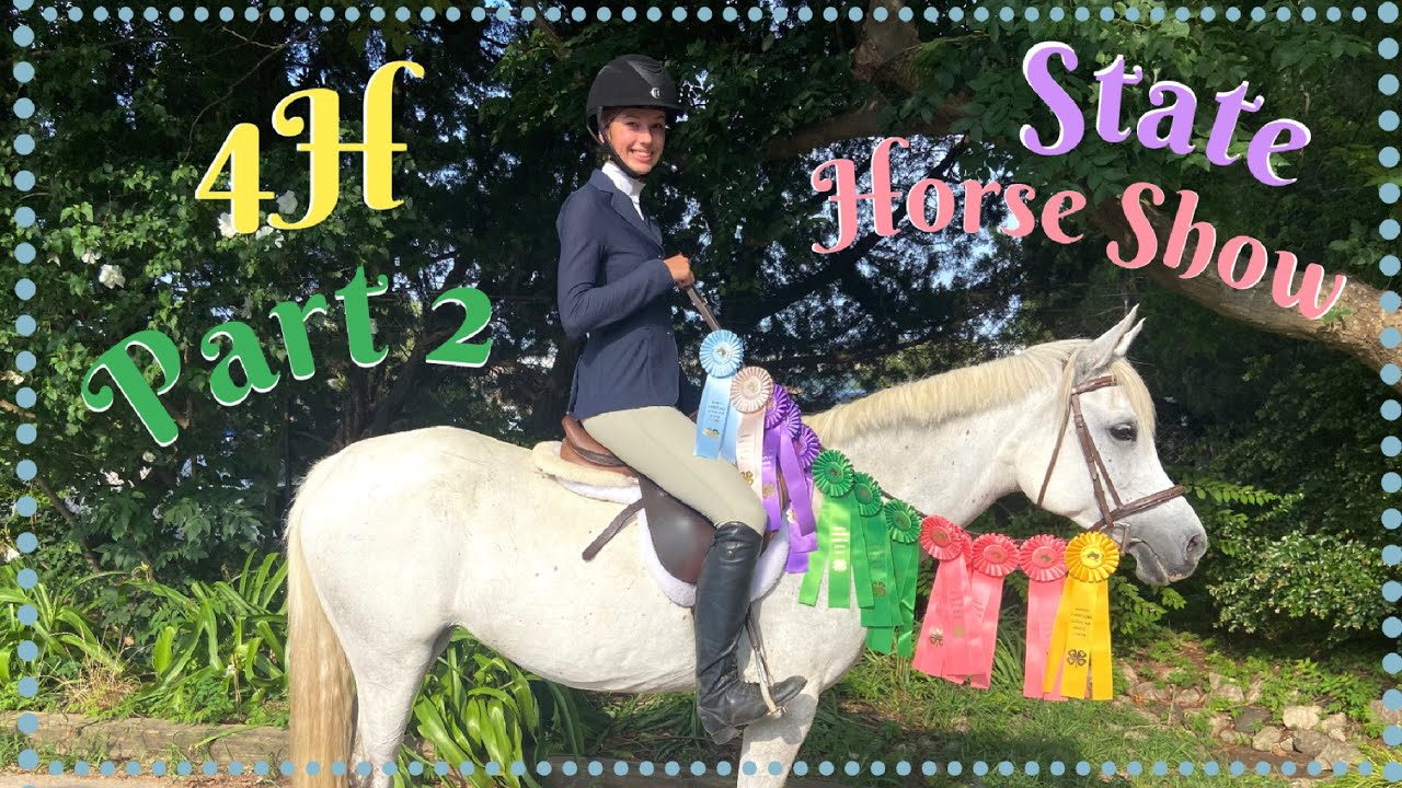 State 4H Horse Show Part 2 Jumping, Versatility, and more! YouTube