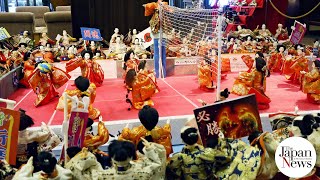 Used hina dolls get another chance at life - The Japan News