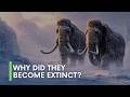 Why did mammoths become EXTINCT?