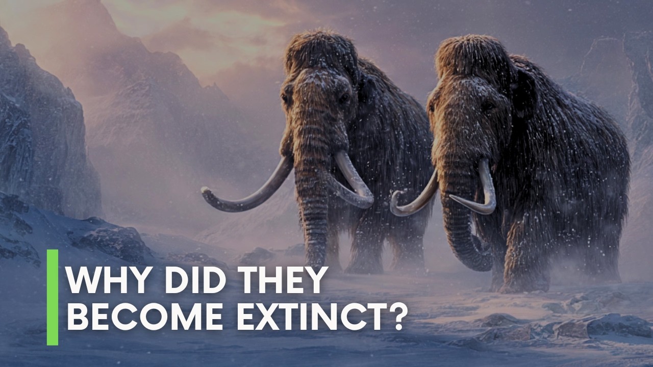 Почему мамонты вымерли?