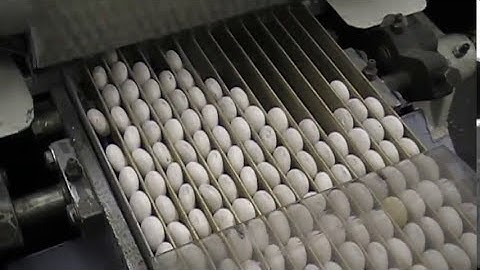 Loynds Used Roll wrap, foil & band stick pack machine.