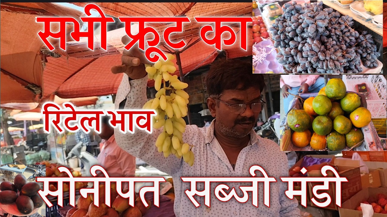 26 फरवरी 2026 सभी फ्रूट का रिटेल ताजा भाव सोनीपत सब्जी मंडी| today fruit retail rates