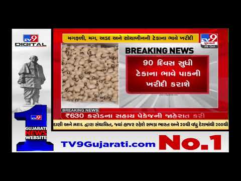 Gujarat: State govt to start the purchase of various crops at MSP from Labh Pancham |TV9News