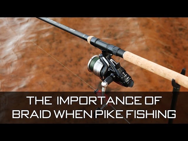 The Importance Of Braid When Pike Fishing 