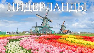 видео: Нидерланды или Голландия | Интересные факты про Нидерланды (2025) картинка: Нидерланды или Голландия | Интересные факты про Нидерланды (2025)