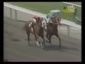 Match race  quarter horse vs thoroughbred