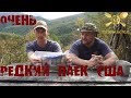 *Обзор ИРП* РЕДКИЙ ТРЕНИРОВОЧНЫЙ СУХОЙ ПАЕК АРМИИ США / (ENG SUB) MRE TRAINING RATION - T. O. T. M