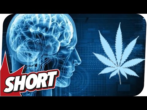Video: Allergisch Gegen Marihuana: Symptome, Ursachen Und Prävention