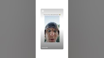 Boy finds a black and yellow grasshopper