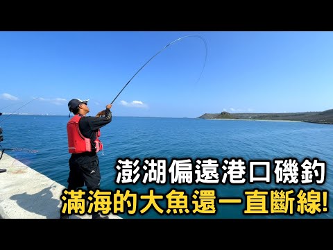 【港釣】澎湖偏遠的港口大魚超多~全游動釣法練習中的樂趣!!魚群超捧場~ | 2022/04/23