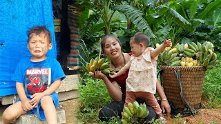The happy days with the boy are no more: Harvesting bananas to sell at the market | Animal care