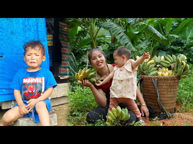 The happy days with the boy are no more: Harvesting bananas to sell at the market | Animal care class=